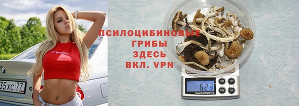 шишки Белокуриха