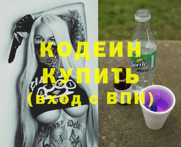шишки Белокуриха