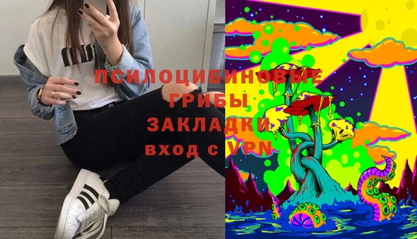 шишки Белокуриха