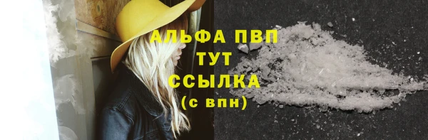 шишки Белокуриха