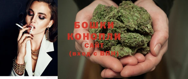 ГАЛЛЮЦИНОГЕННЫЕ ГРИБЫ Белоозёрский