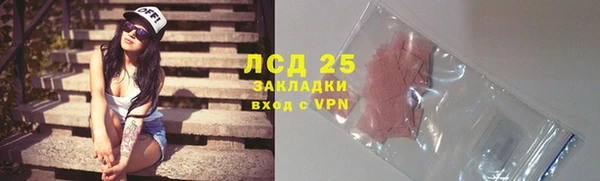 ГАЛЛЮЦИНОГЕННЫЕ ГРИБЫ Белоозёрский