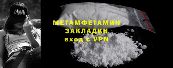 шишки Белокуриха