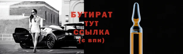 шишки Белокуриха