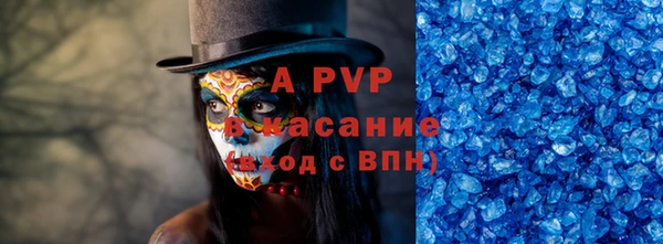 шишки Белокуриха