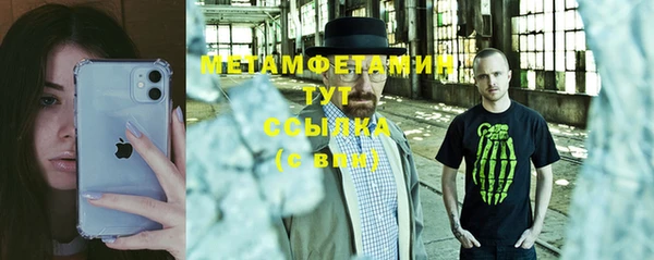 шишки Белокуриха