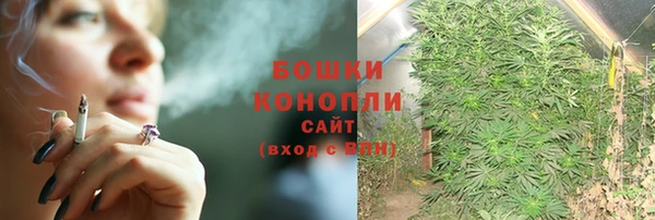 ГАЛЛЮЦИНОГЕННЫЕ ГРИБЫ Белоозёрский