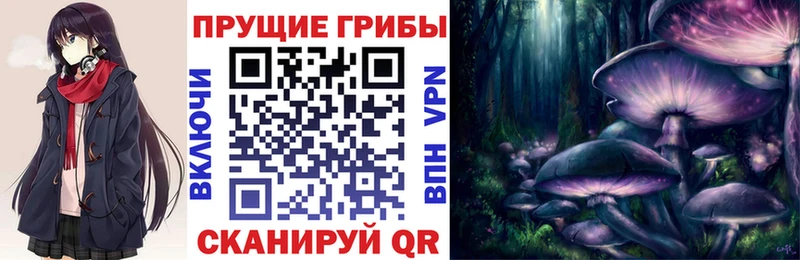 ссылка на мегу рабочий сайт  Севастополь  Галлюциногенные грибы MAGIC MUSHROOMS  что такое  